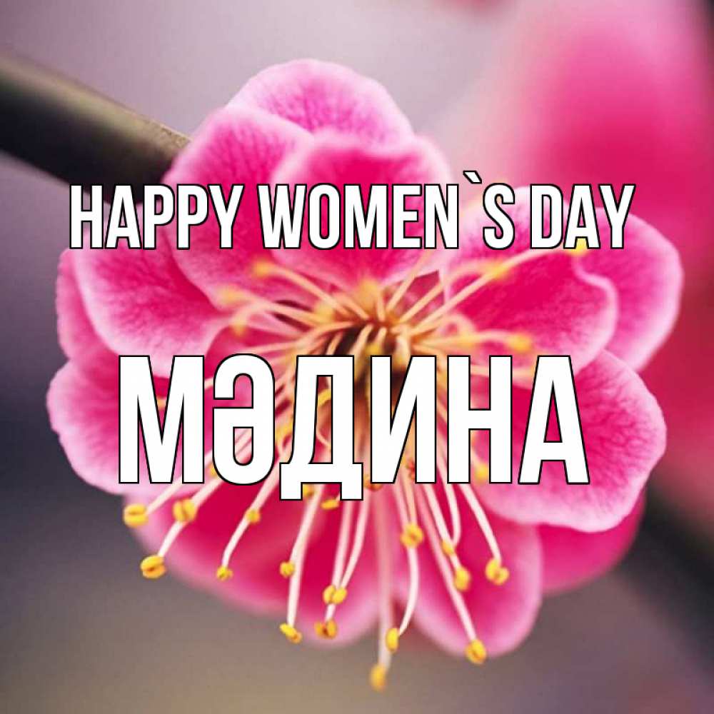 Greetings card с именем, МӘДИНА happy women`s day цветы Greetings with text for free download 
